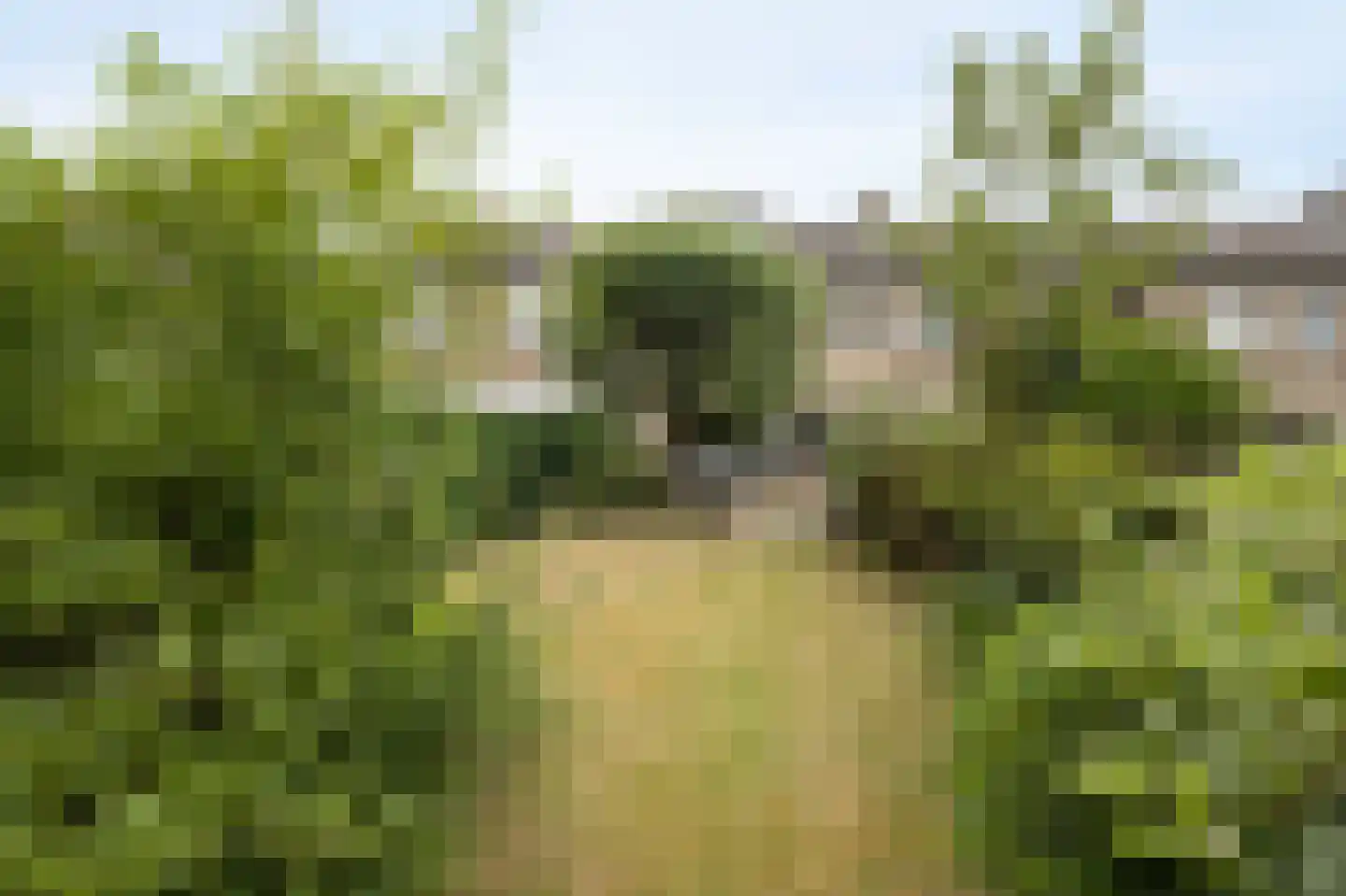 Elisabethpark 18 Hoeven thumbnail 36