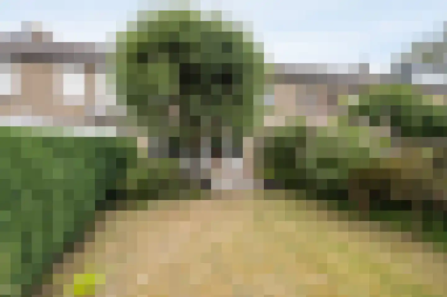 Elisabethpark 18 Hoeven thumbnail 37