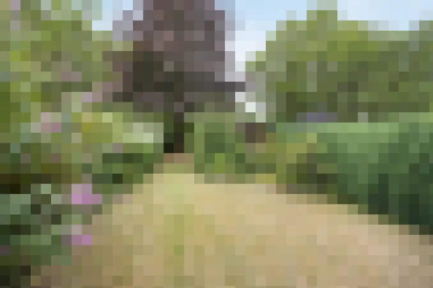 Elisabethpark 18 Hoeven thumbnail 4
