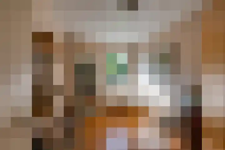 Elisabethpark 20 Hoeven thumbnail 20