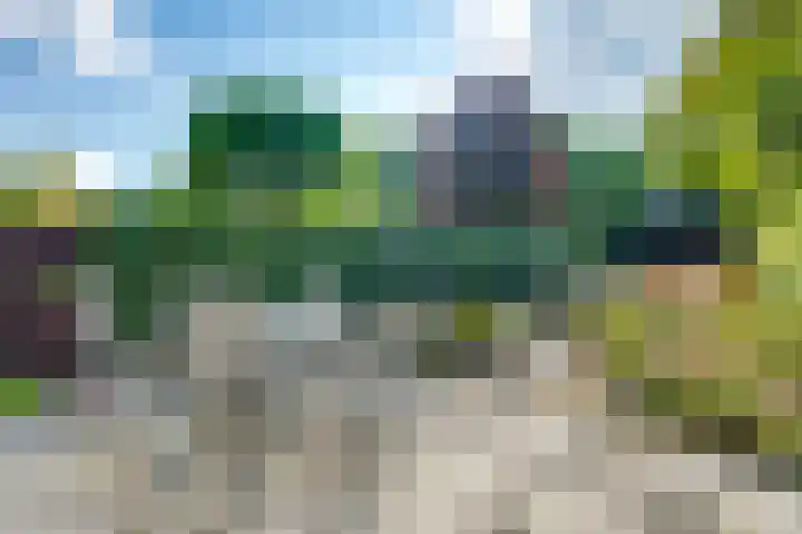 Elisabethpark 20 Hoeven thumbnail 29