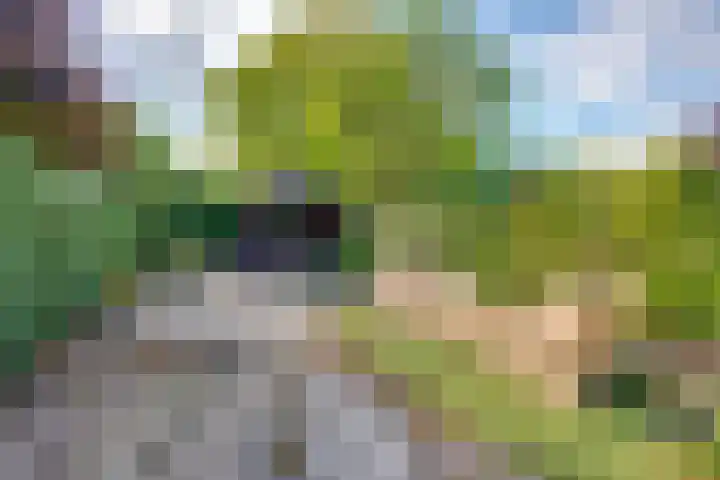 Elisabethpark 20 Hoeven thumbnail 30