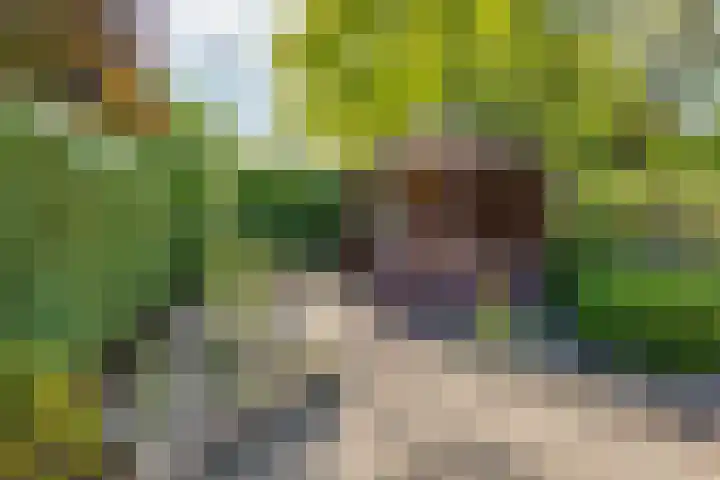 Elisabethpark 20 Hoeven thumbnail 31