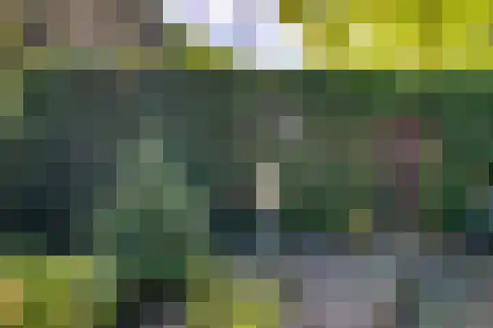 Elisabethpark 20 Hoeven thumbnail 32