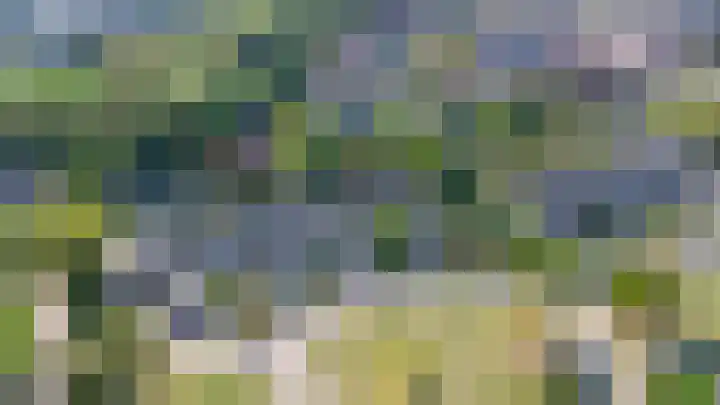 Elisabethpark 20 Hoeven thumbnail 33