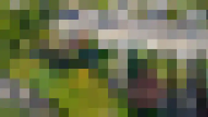 Elisabethpark 20 Hoeven thumbnail 34