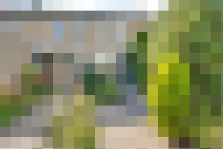 Elisabethpark 20 Hoeven thumbnail 5