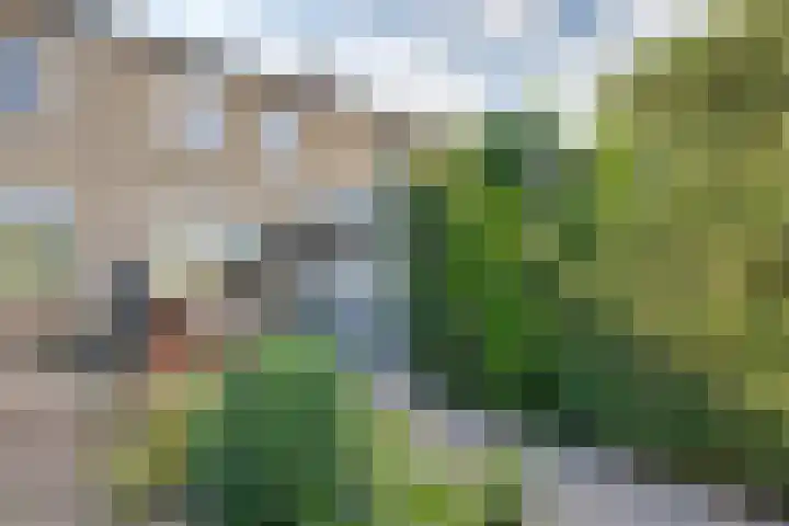 Elisabethpark 20 Hoeven thumbnail 6