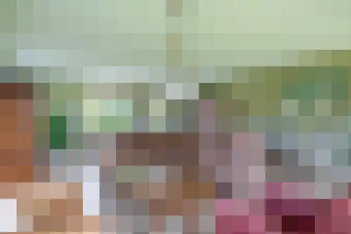 Elisabethpark 4 Hoeven thumbnail 14