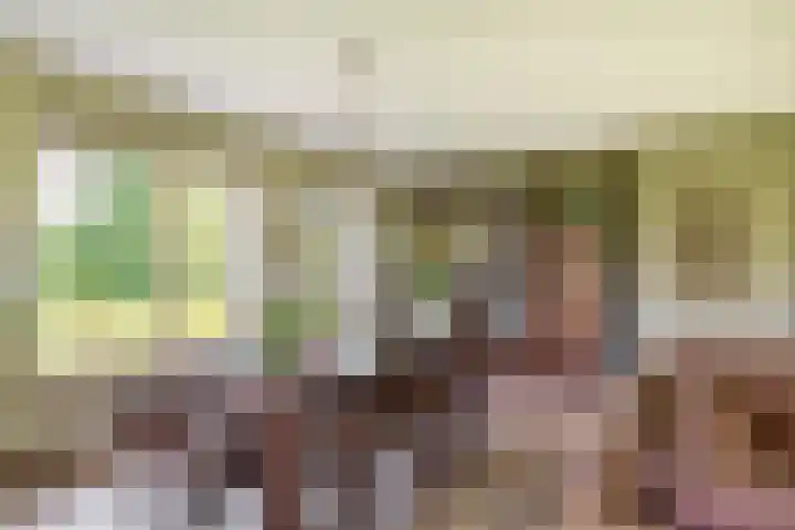 Elisabethpark 4 Hoeven thumbnail 15