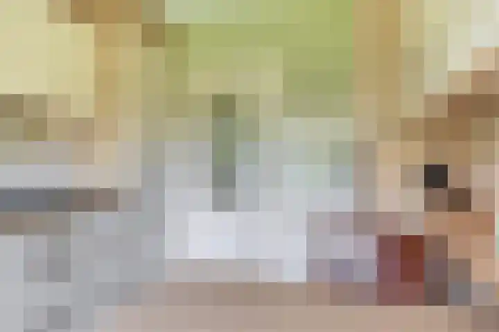 Elisabethpark 4 Hoeven thumbnail 17