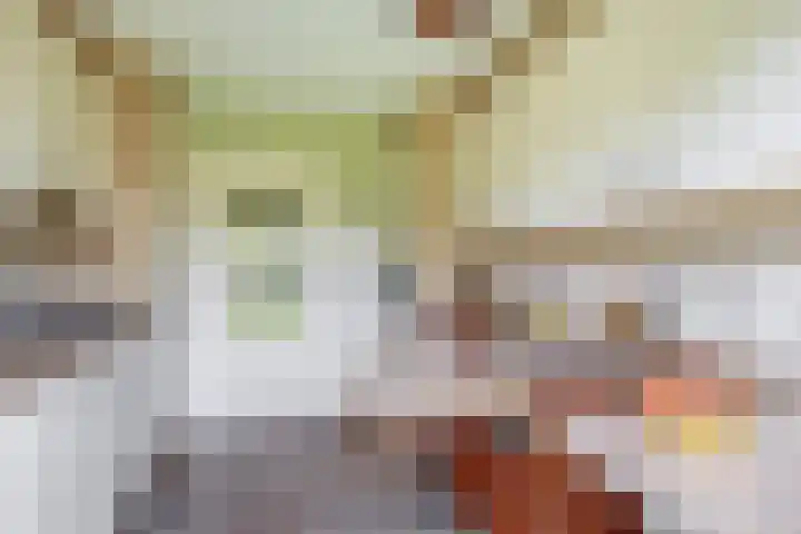 Elisabethpark 4 Hoeven thumbnail 18