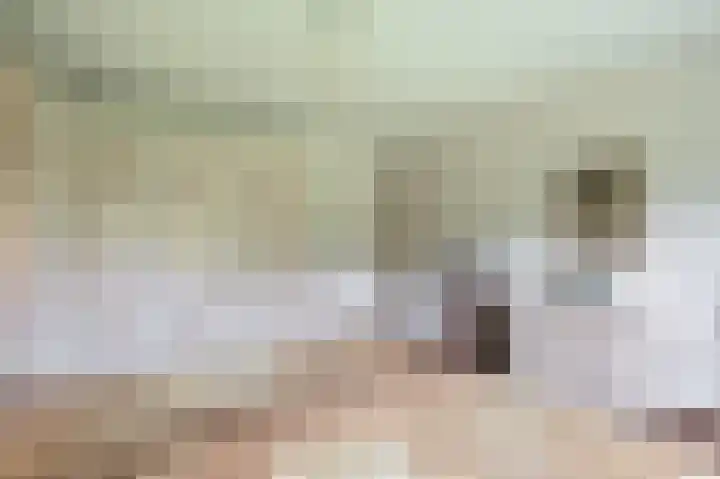 Elisabethpark 4 Hoeven thumbnail 21