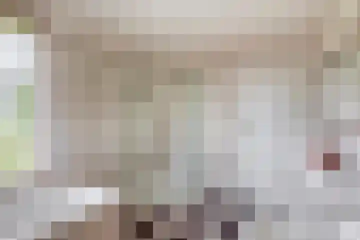 Elisabethpark 4 Hoeven thumbnail 22