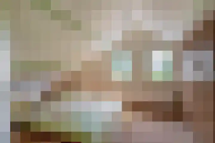 Elisabethpark 4 Hoeven thumbnail 29