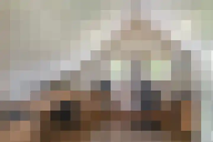 Elisabethpark 4 Hoeven thumbnail 30