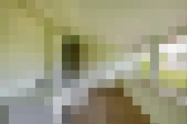 Elisabethpark 4 Hoeven thumbnail 31
