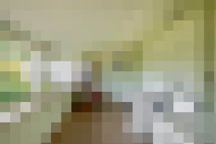 Elisabethpark 4 Hoeven thumbnail 32