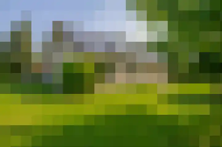 Elisabethpark 4 Hoeven thumbnail 33