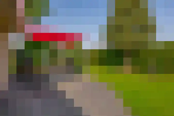 Elisabethpark 4 Hoeven thumbnail 34