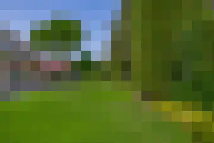 Elisabethpark 4 Hoeven thumbnail 35