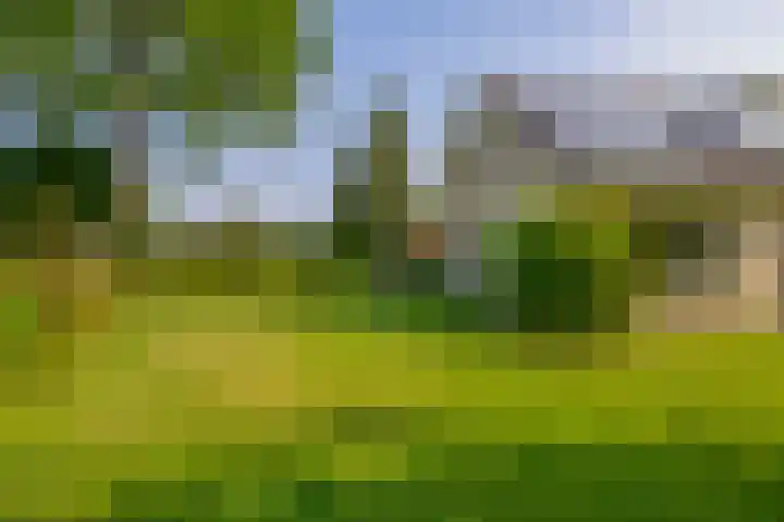 Elisabethpark 4 Hoeven thumbnail 37