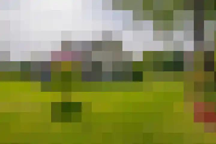 Elisabethpark 4 Hoeven thumbnail 39