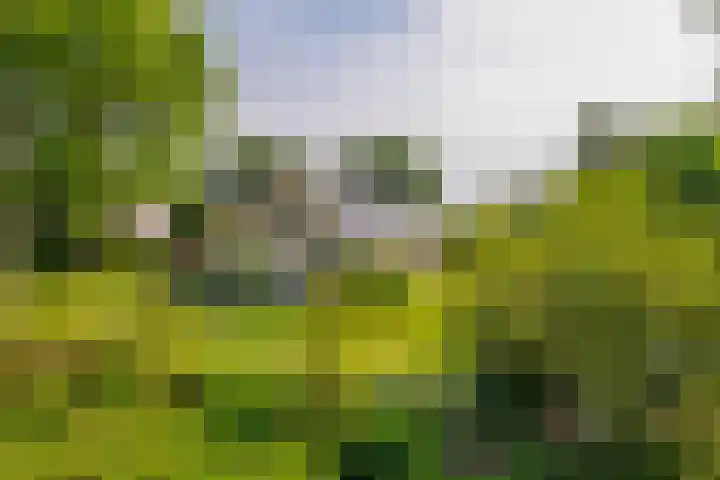 Elisabethpark 4 Hoeven thumbnail 40