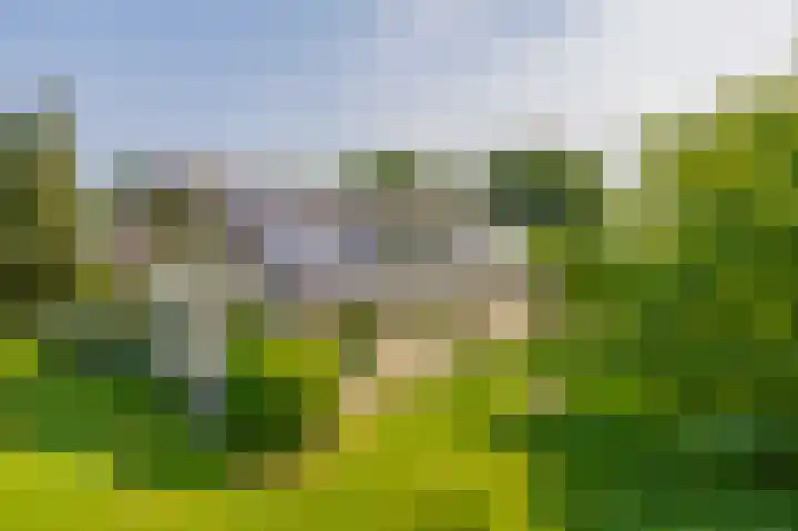 Elisabethpark 4 Hoeven thumbnail 41