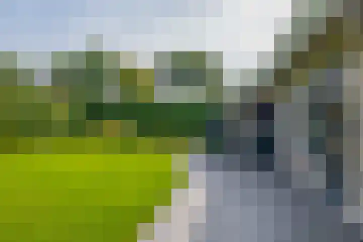 Elisabethpark 4 Hoeven thumbnail 43