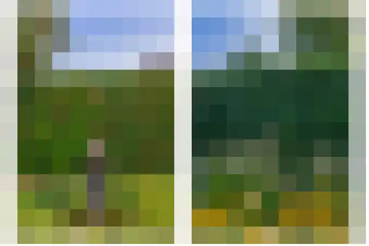 Elisabethpark 4 Hoeven thumbnail 44