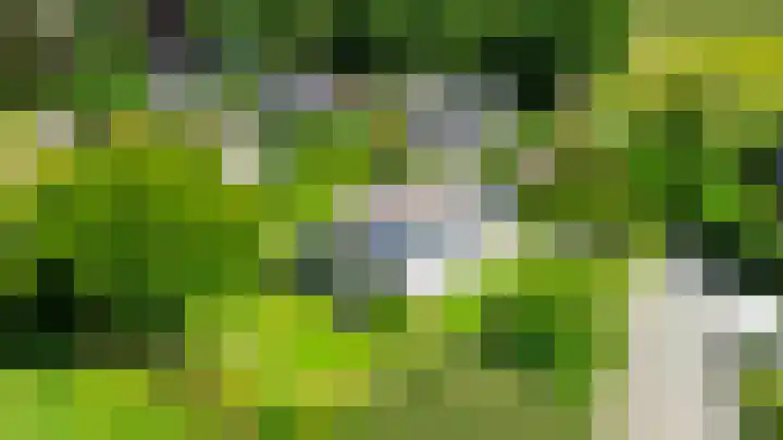 Elisabethpark 4 Hoeven thumbnail 46