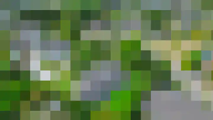 Elisabethpark 4 Hoeven thumbnail 50