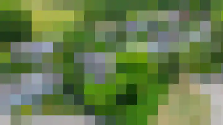 Elisabethpark 4 Hoeven thumbnail 51