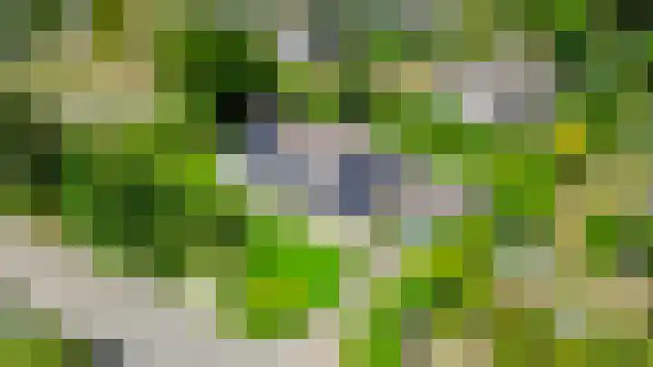 Elisabethpark 4 Hoeven thumbnail 55