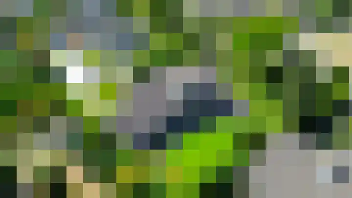 Elisabethpark 4 Hoeven thumbnail 56