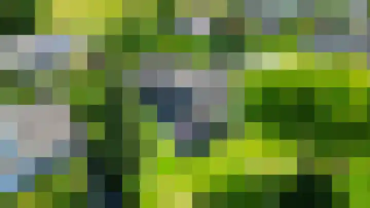 Elisabethpark 4 Hoeven thumbnail 57
