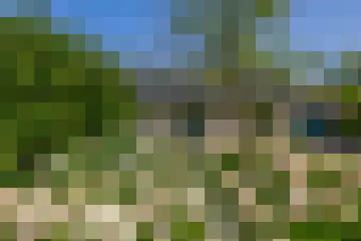 Elisabethpark 4 Hoeven thumbnail 6