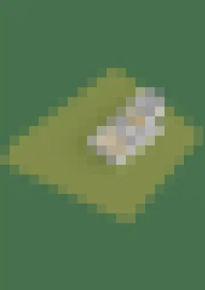 Elisabethpark 4 Hoeven thumbnail 63