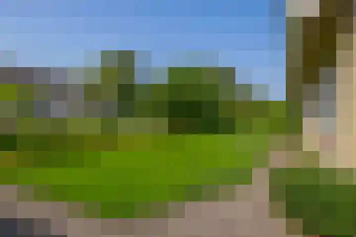 Elisabethpark 4 Hoeven thumbnail 7