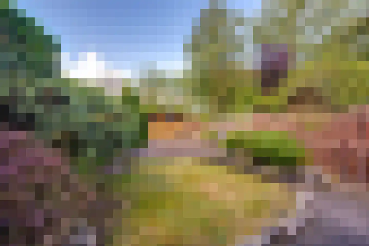 Elisabethpark 62 Hoeven thumbnail 22