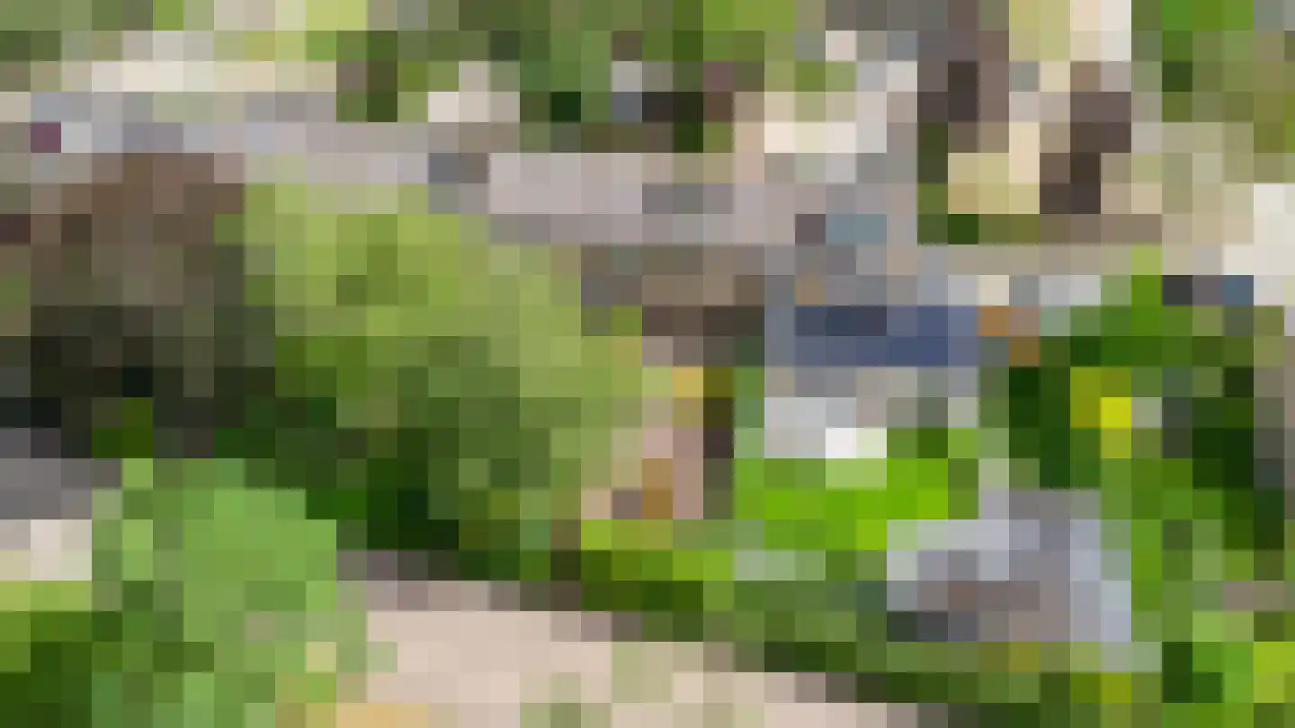 Elisabethpark 62 Hoeven thumbnail 27