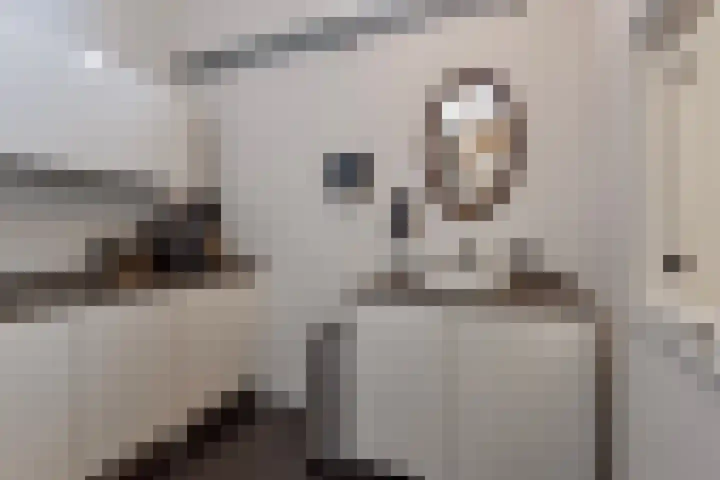 Elisabethplaats 30 Gemert thumbnail 20