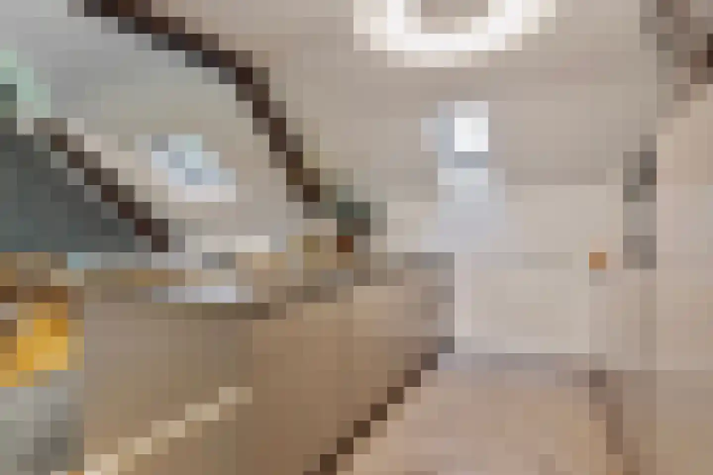 Elisabethplaats 30 Gemert thumbnail 31