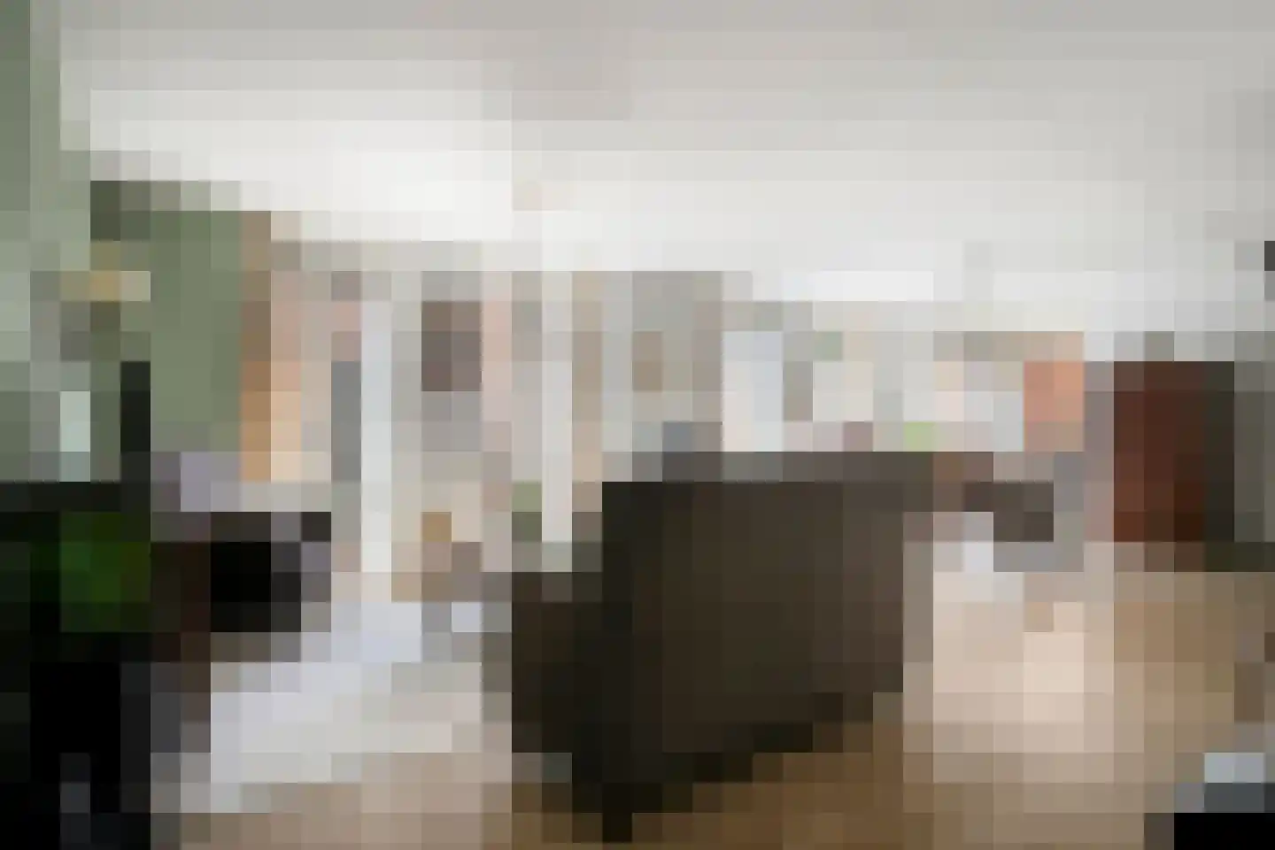 Elisabethplaats 32 Gemert thumbnail 10