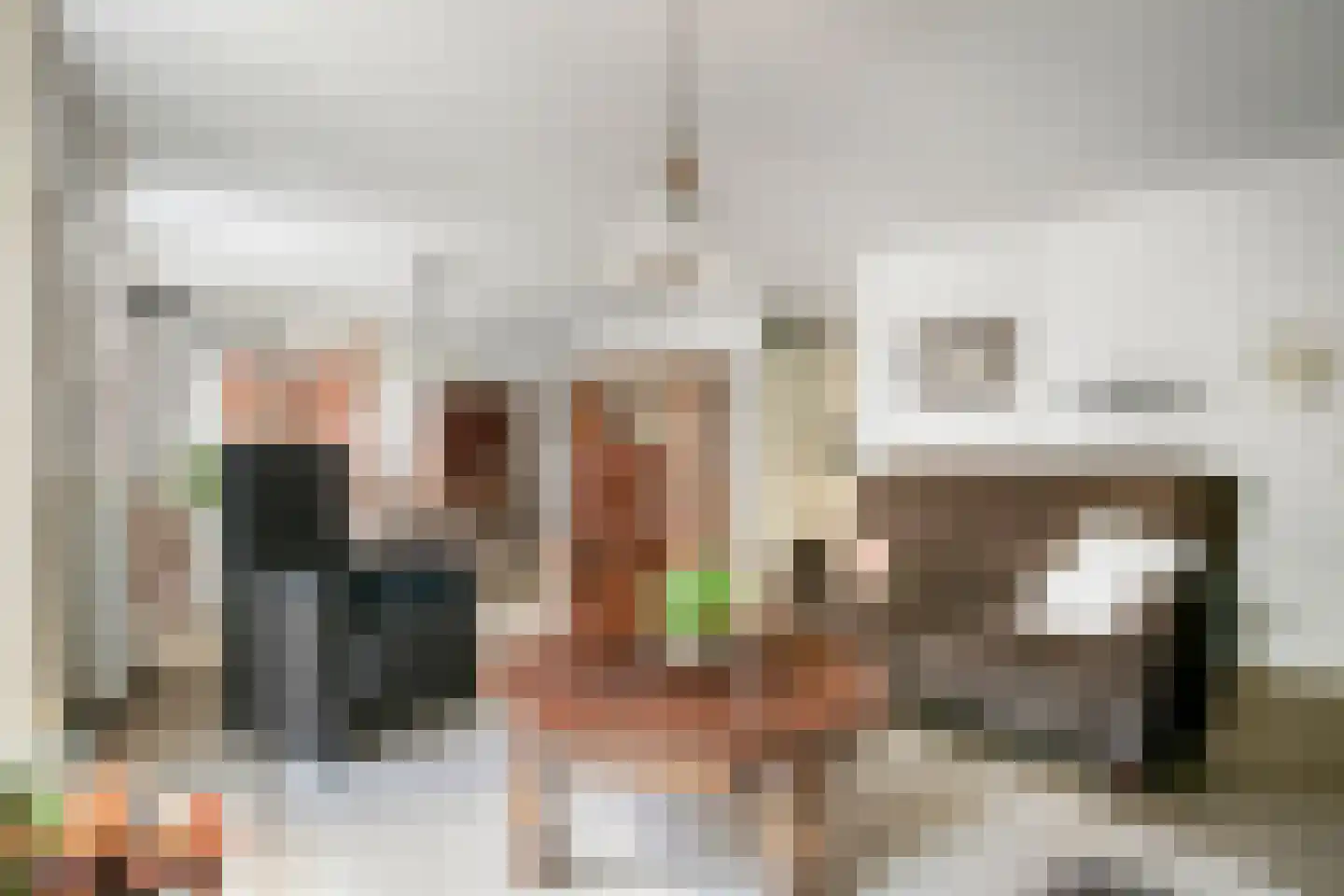 Elisabethplaats 32 Gemert thumbnail 11