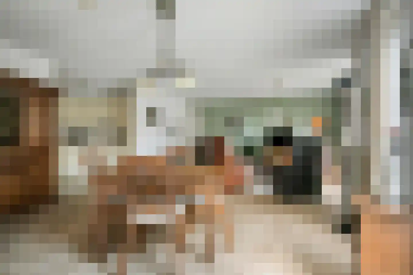 Elisabethplaats 32 Gemert thumbnail 17