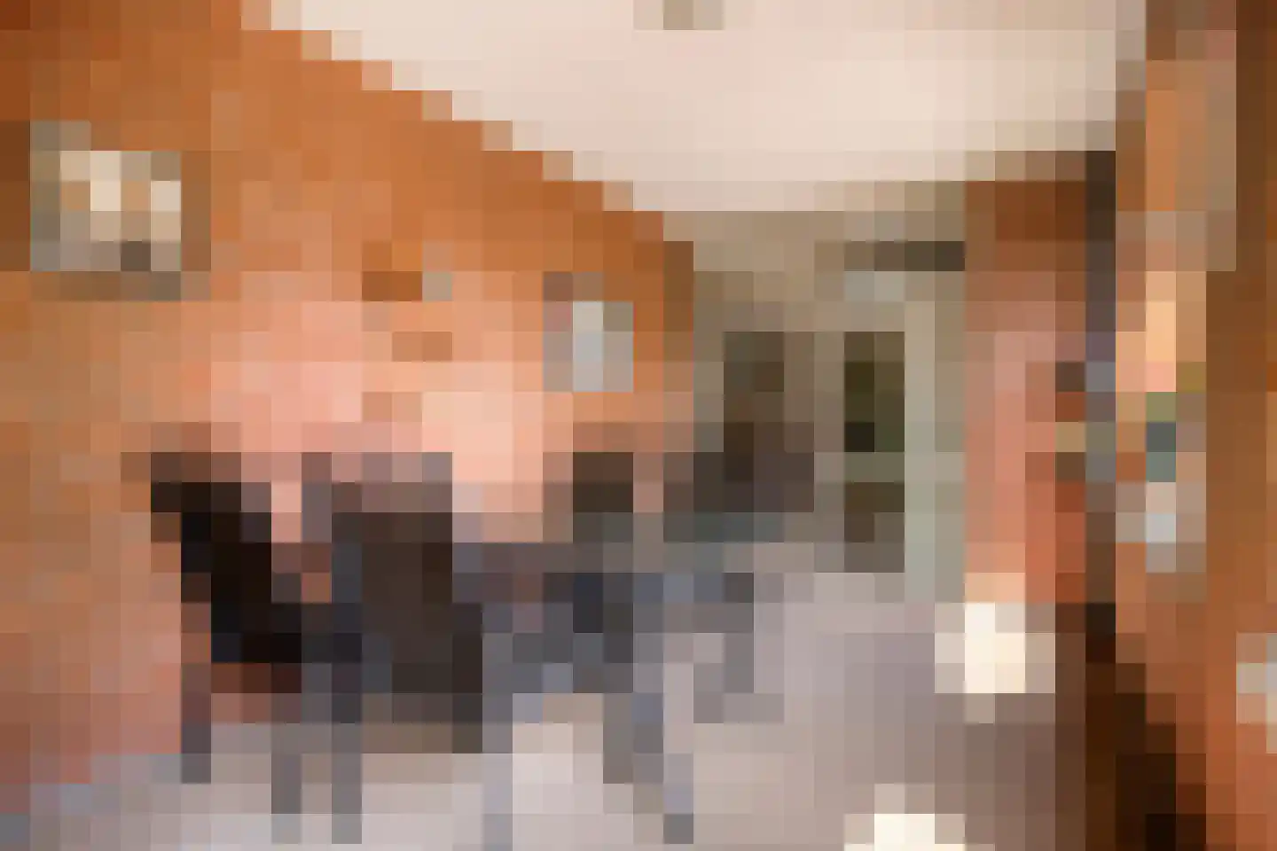 Elisabethplaats 32 Gemert thumbnail 22