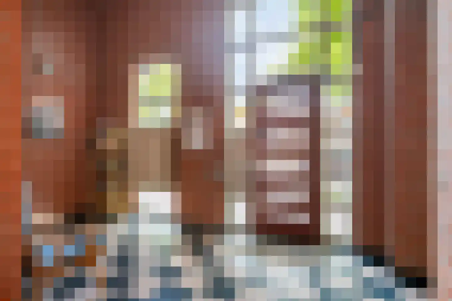 Elisabethplaats 32 Gemert thumbnail 34