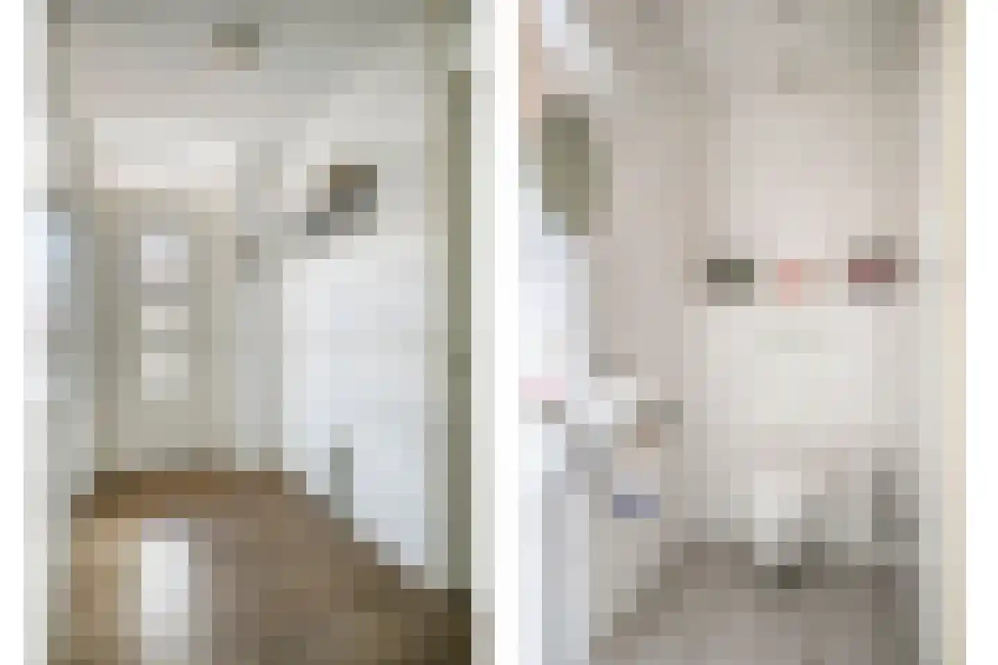 Elisabethplaats 32 Gemert thumbnail 6